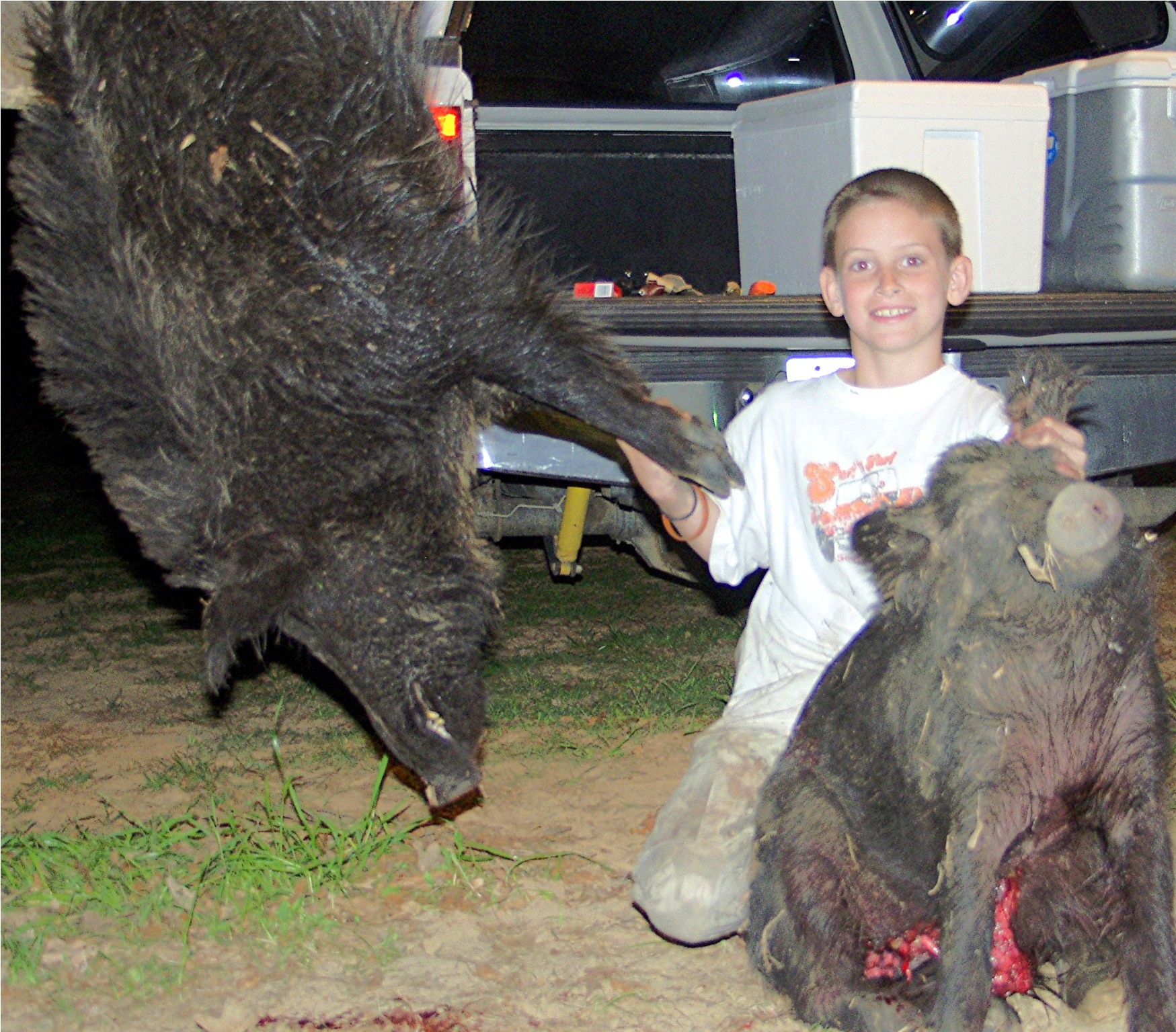 Hog Hunting